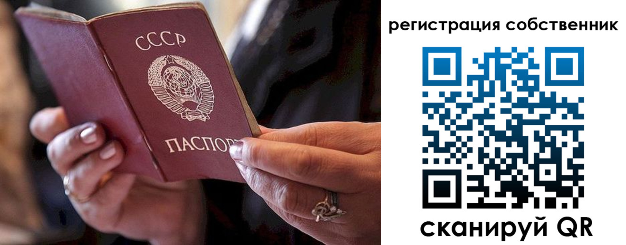 временная регистрация для всех в Светлограде